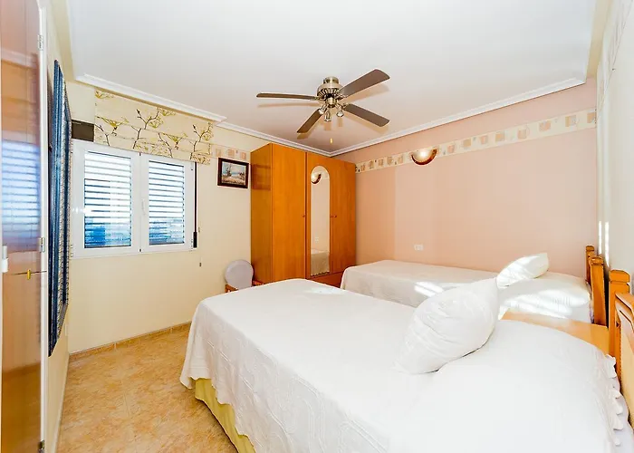 Alegria Id114 * Torrevieja